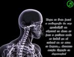 Dupa ce ti-au facut o radiografie