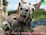 1 Aprilie in familie!
