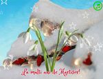 La multi ani de Martisor