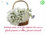 Cos cu ghiocei