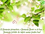 O frumoasa primavara