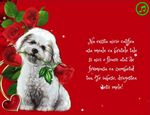 Nu exista nicio catifea asa moale ca bratele tale