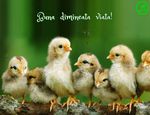 Buna dimineata viata!