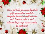 Sa ai parte de un an nou lipsit de griji, presarat cu sanatate, dragoste.