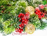 Craciun fericit!