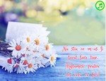 Nu stiu ce m-as fi facut fara tine