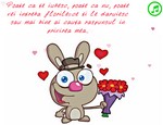 Poate ca te iubesc poate ca nu poate vei