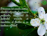 Primavara isi anunta sosirea