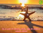 Sa ai parte de: momente magice