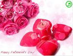Happy Valentine's Day!